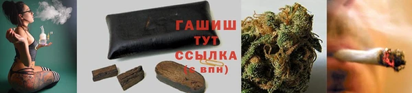 шишки Абаза