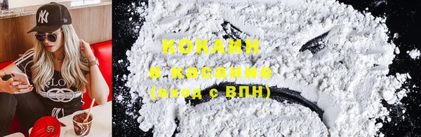 ГАЛЛЮЦИНОГЕННЫЕ ГРИБЫ Дмитриев
