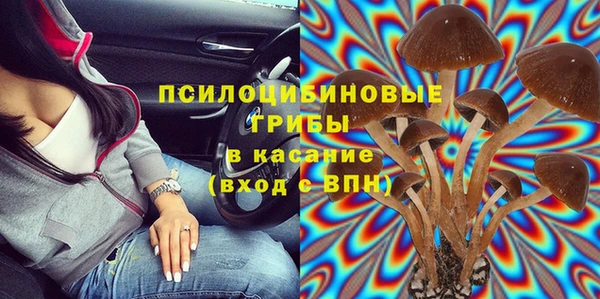 сатива Абинск