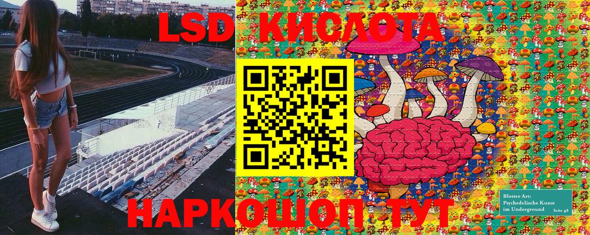 Галлюциногенные грибы Россия