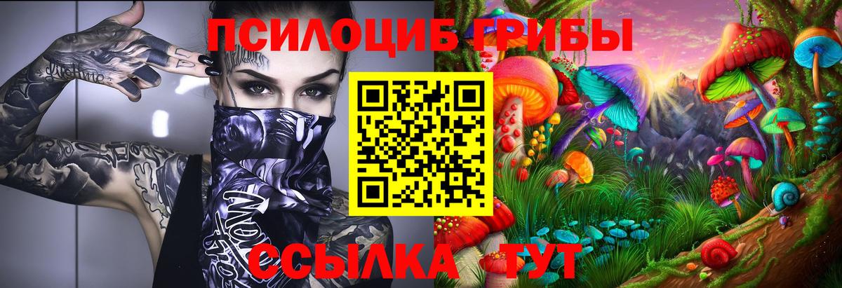 Галлюциногенные грибы прущие грибы  цены   Россия  Вход с VPN 