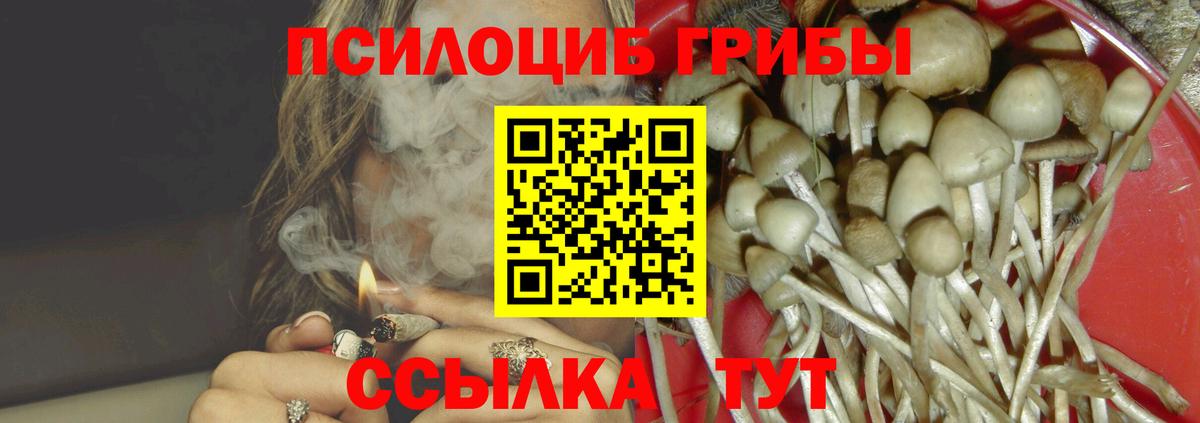 наркотики  Россия  Псилоцибиновые грибы GOLDEN TEACHER 