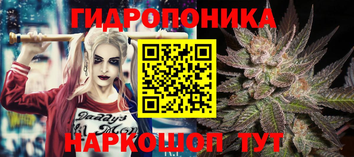 Конопля LSD WEED Россия